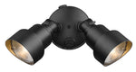 Acclaim Lighting-LFL2BK|ALT|1