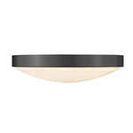 Golden-9128-FM13 BLK-OP|ALT|4