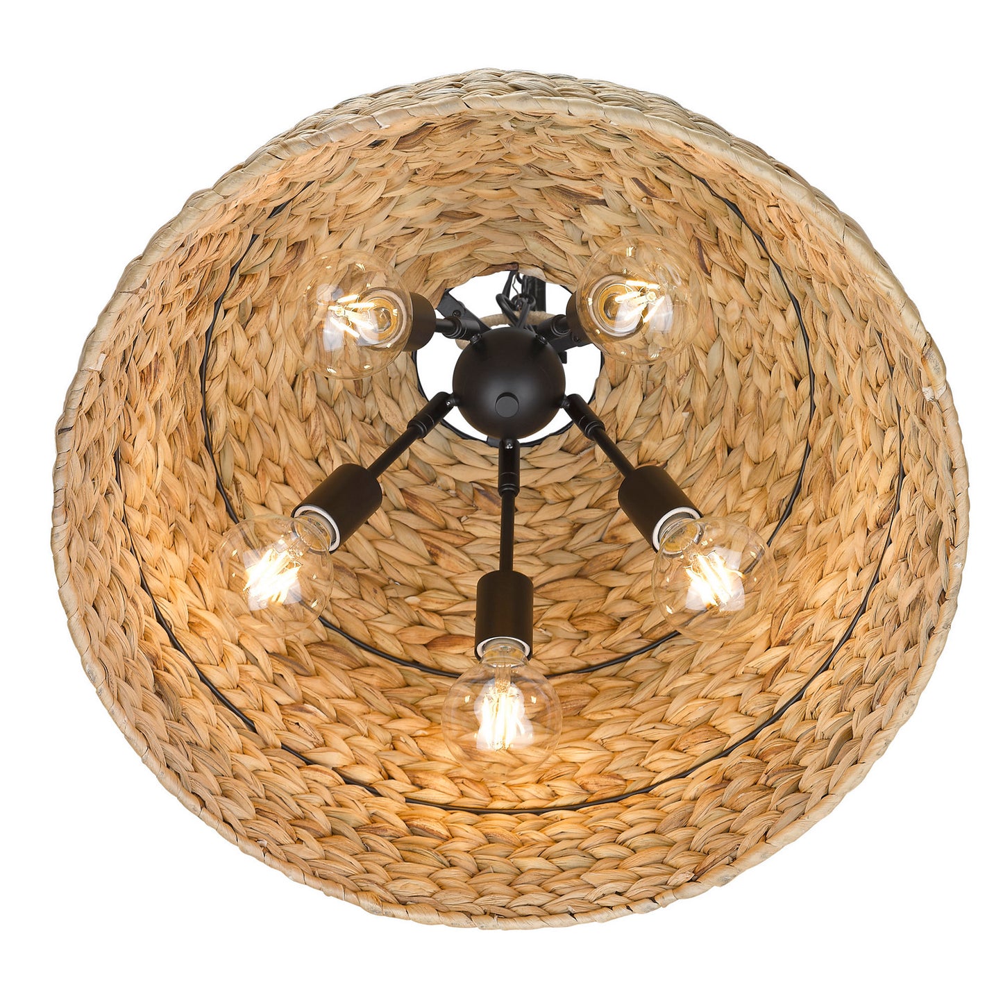 Golden-1081-5P BLK-WSG|ALT|5