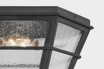 Troy Lighting-C2514-FRN|ALT|1