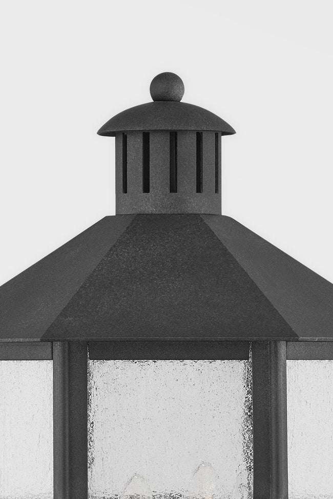 Troy Lighting-P2522-FRN|ALT|2