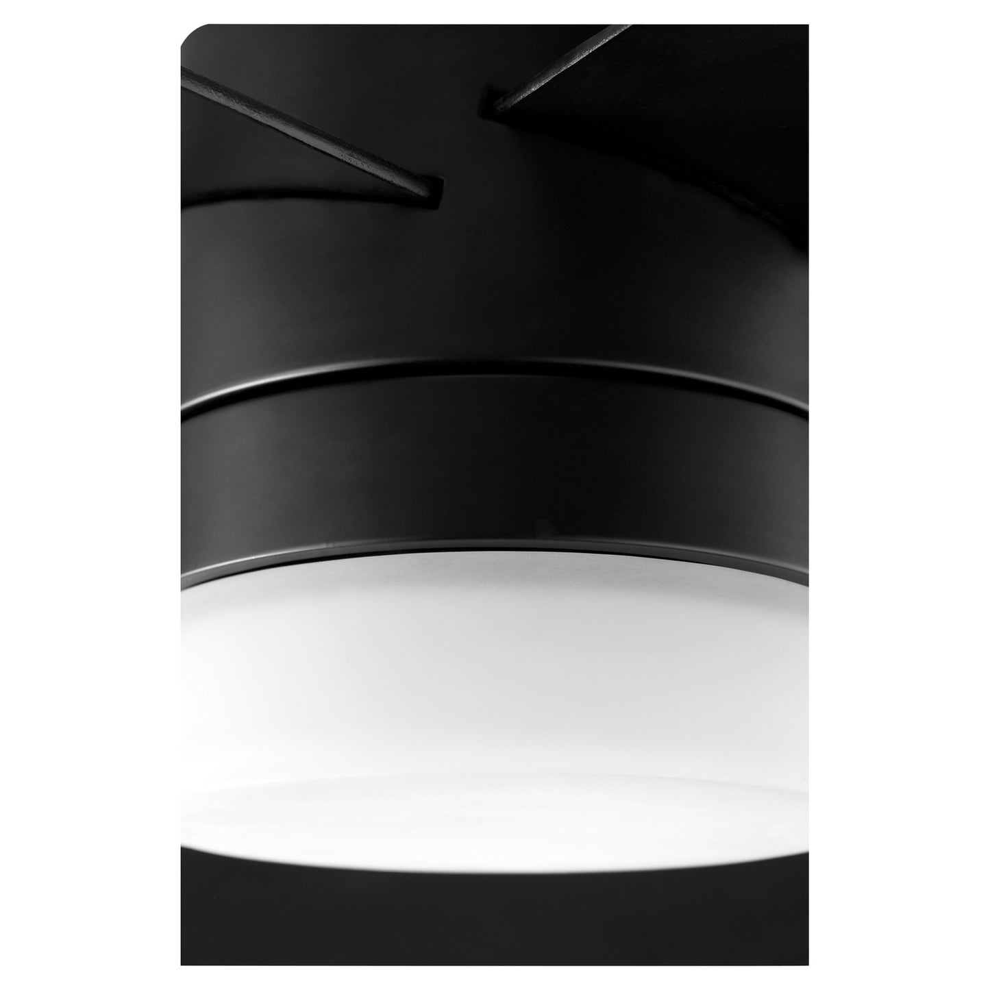 Quorum-37525-59|ALT|2