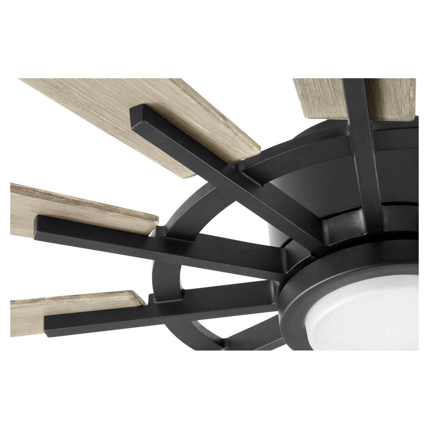 Quorum-46012-59|ALT|3