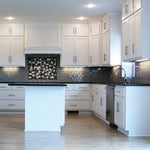 Nuvo Lighting-63-500|ALT|2