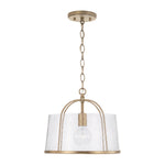 Capital Lighting-247011AD|ALT|5