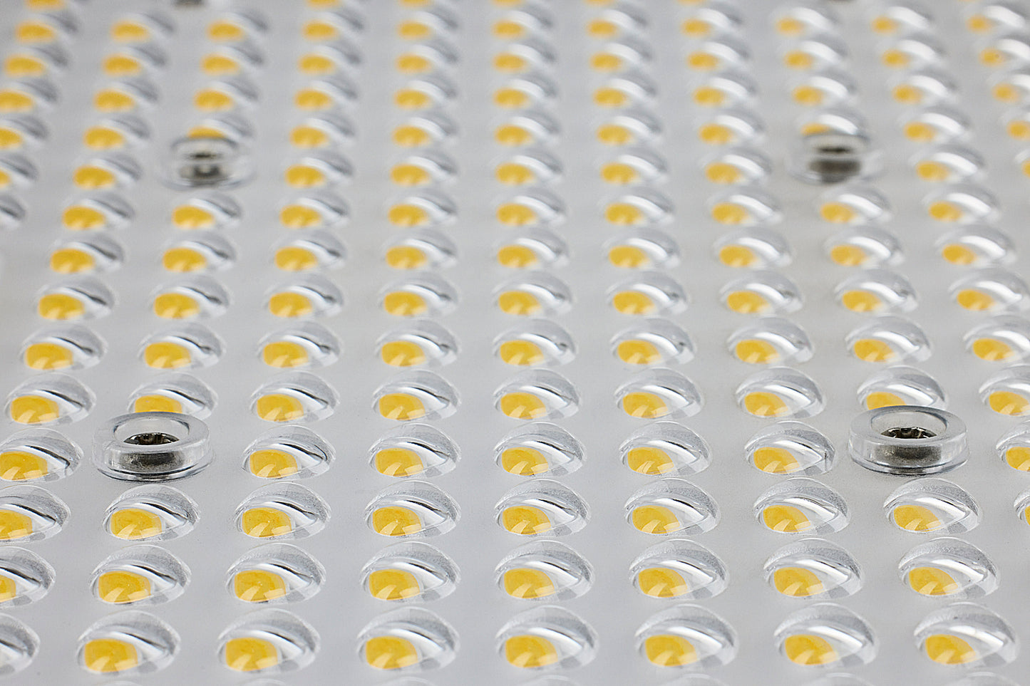 Nuvo Lighting-65-847|ALT|4