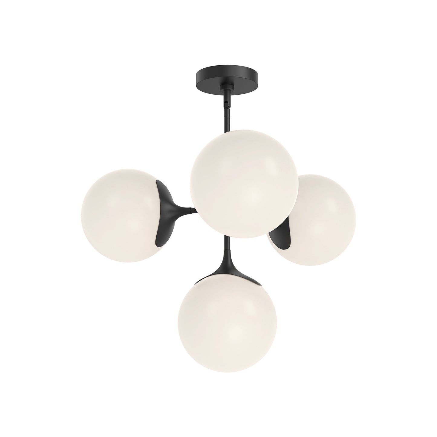 Alora-CH505426MBOP|ALT|2