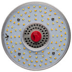 Satco-S23144|ALT|6