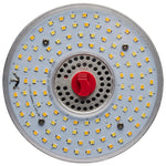 Satco-S23145|ALT|6
