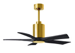 Matthews Fan Company-PA5-BRBR-BK-42|ALT|5