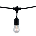 Bulbrite-812312|ALT|4