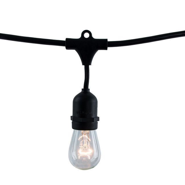 Bulbrite-812312|ALT|4