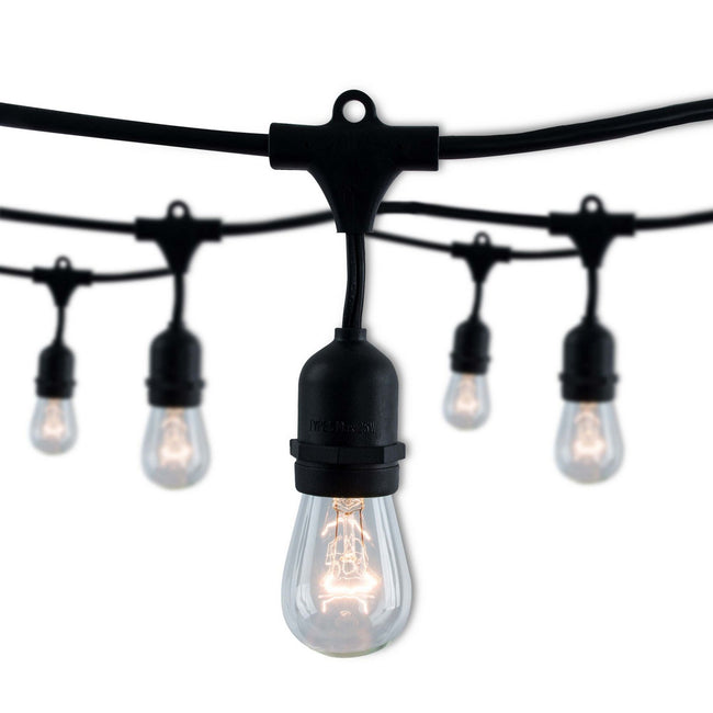 Bulbrite-812482|ALT|1