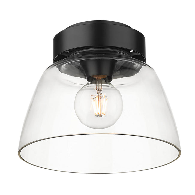 Golden-0314-FM10 BLK-CLR|ALT|2