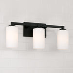 Capital Lighting-119831BI-545|ALT|2