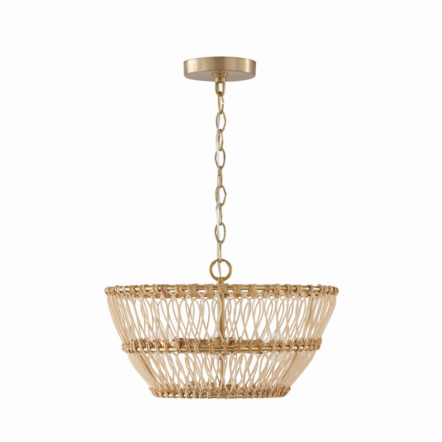 Capital Lighting-244131MA|ALT|1