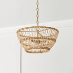 Capital Lighting-244131MA|ALT|3