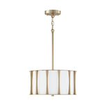 Capital Lighting-244631MA|ALT|1