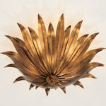 Capital Lighting-249531AG|ALT|2