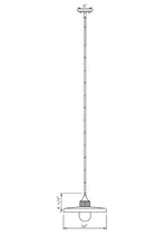 Z-Lite-821P14-BN|ALT|5