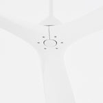 Quorum-3-121-6|ALT|1