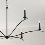 Capital Lighting-450661BI|ALT|4