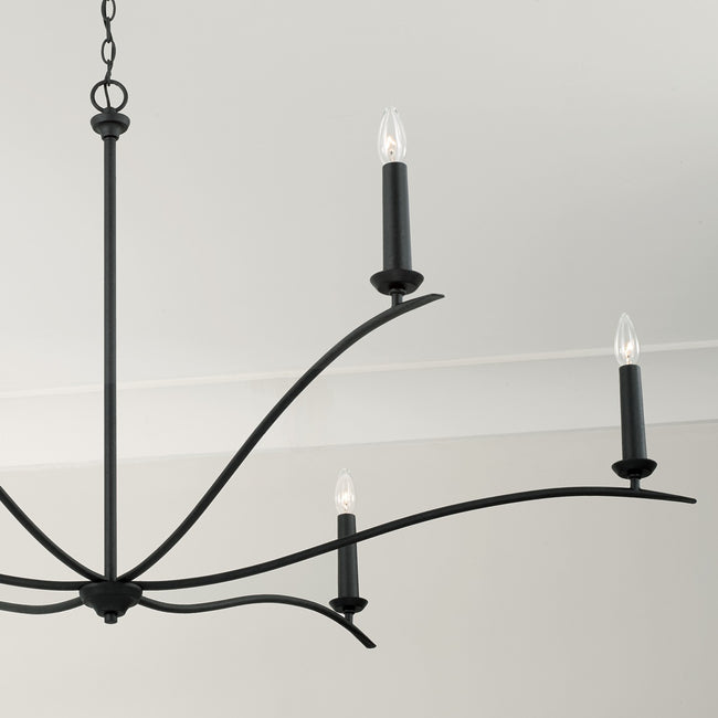 Capital Lighting-450661BI|ALT|4