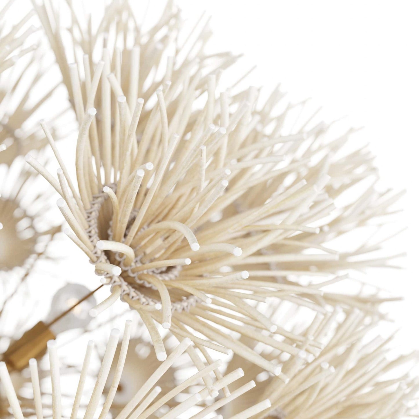 Arteriors-DMS04|ALT|5
