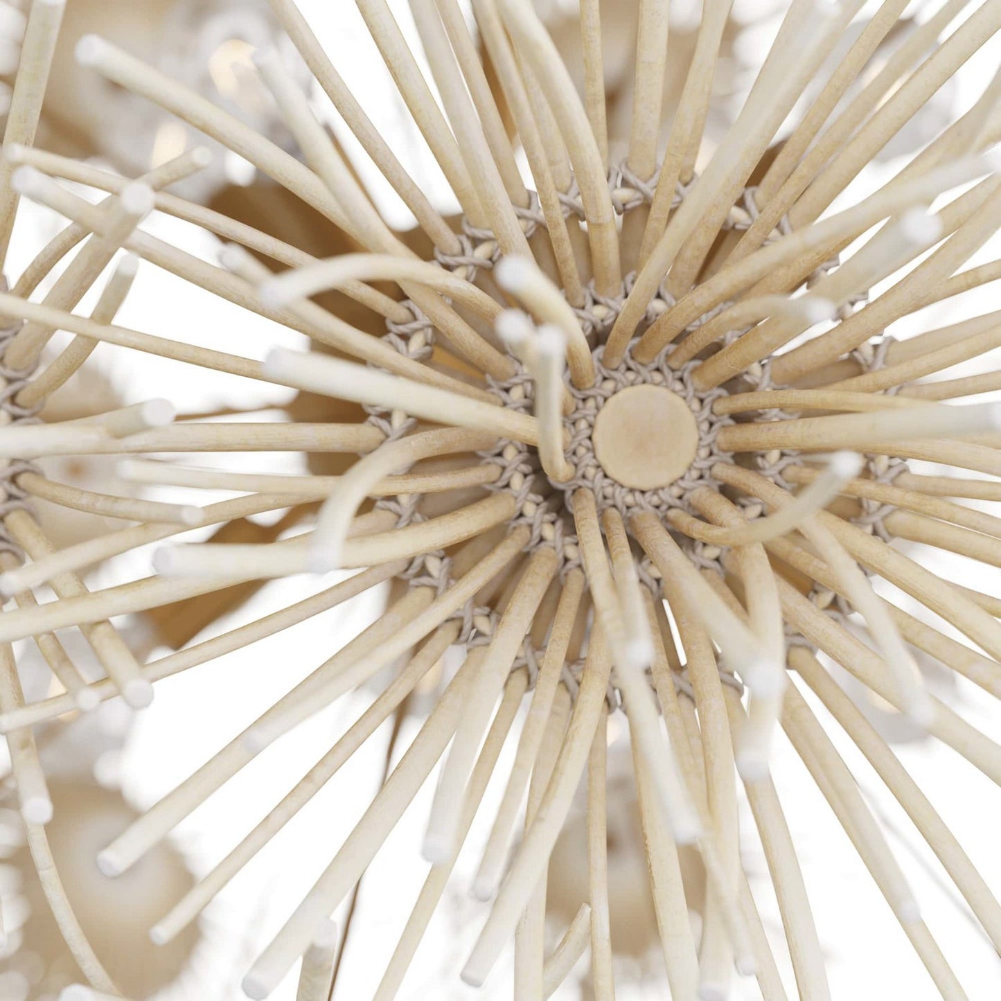 Arteriors-DMS04|ALT|7