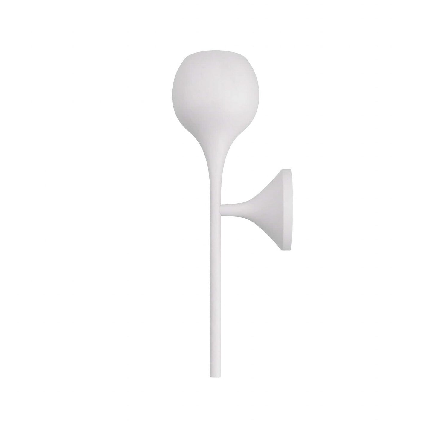 Arteriors-DWI01|ALT|2