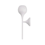 Arteriors-DWI01|ALT|2
