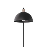 Arteriors-PFI03|ALT|5