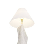 Arteriors-PTC22-SH032|ALT|6