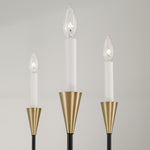 Capital Lighting-451961AB|ALT|3
