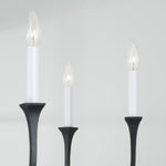 Capital Lighting-452361BI|ALT|2