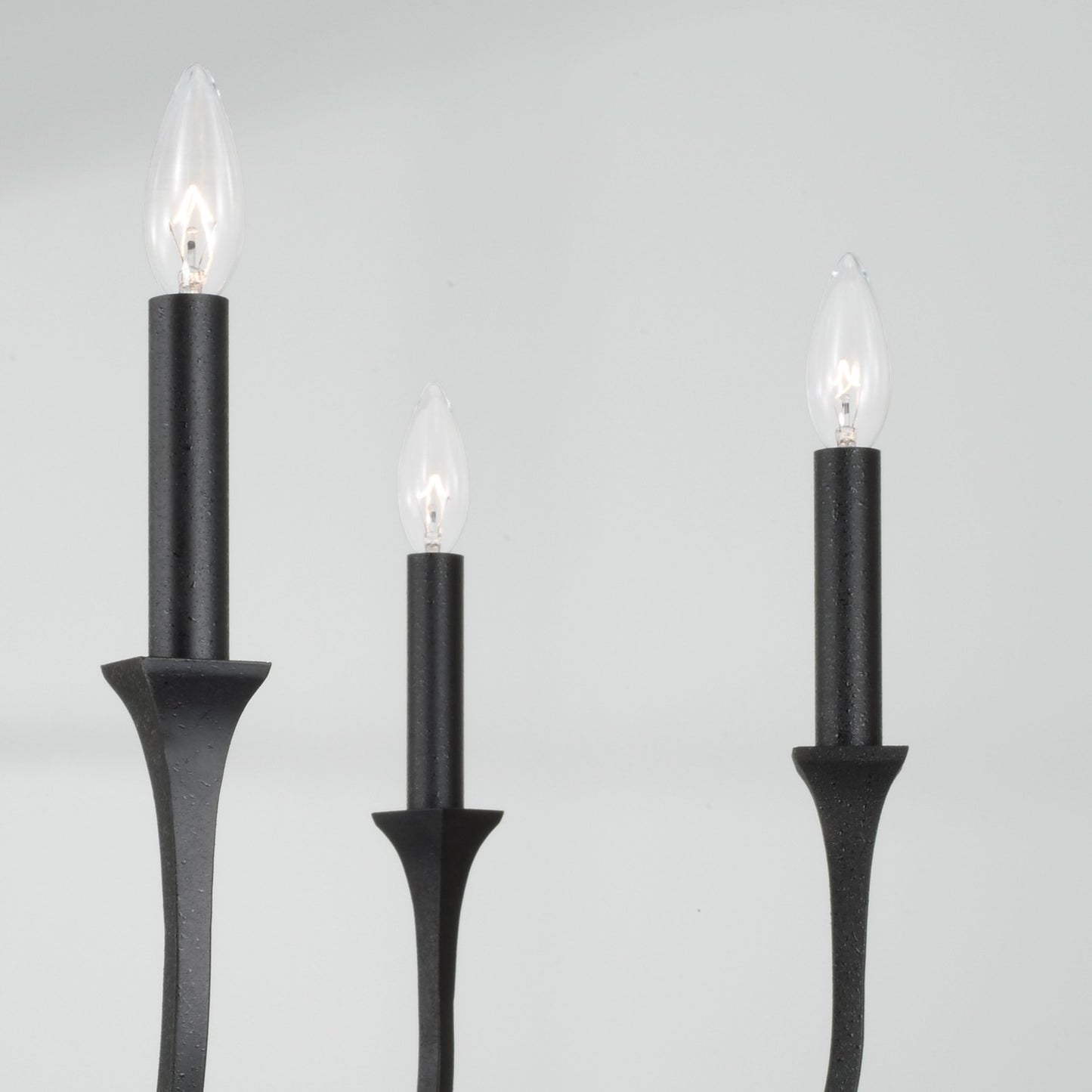 Capital Lighting-452361BI|ALT|3
