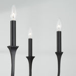 Capital Lighting-452361BI|ALT|3