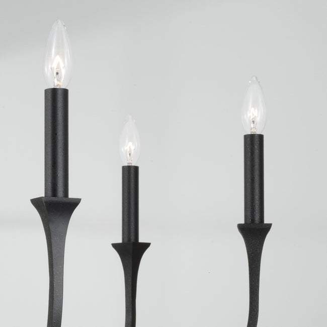 Capital Lighting-452361BI|ALT|3