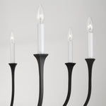 Capital Lighting-452381BI|ALT|2