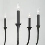 Capital Lighting-452381BI|ALT|3