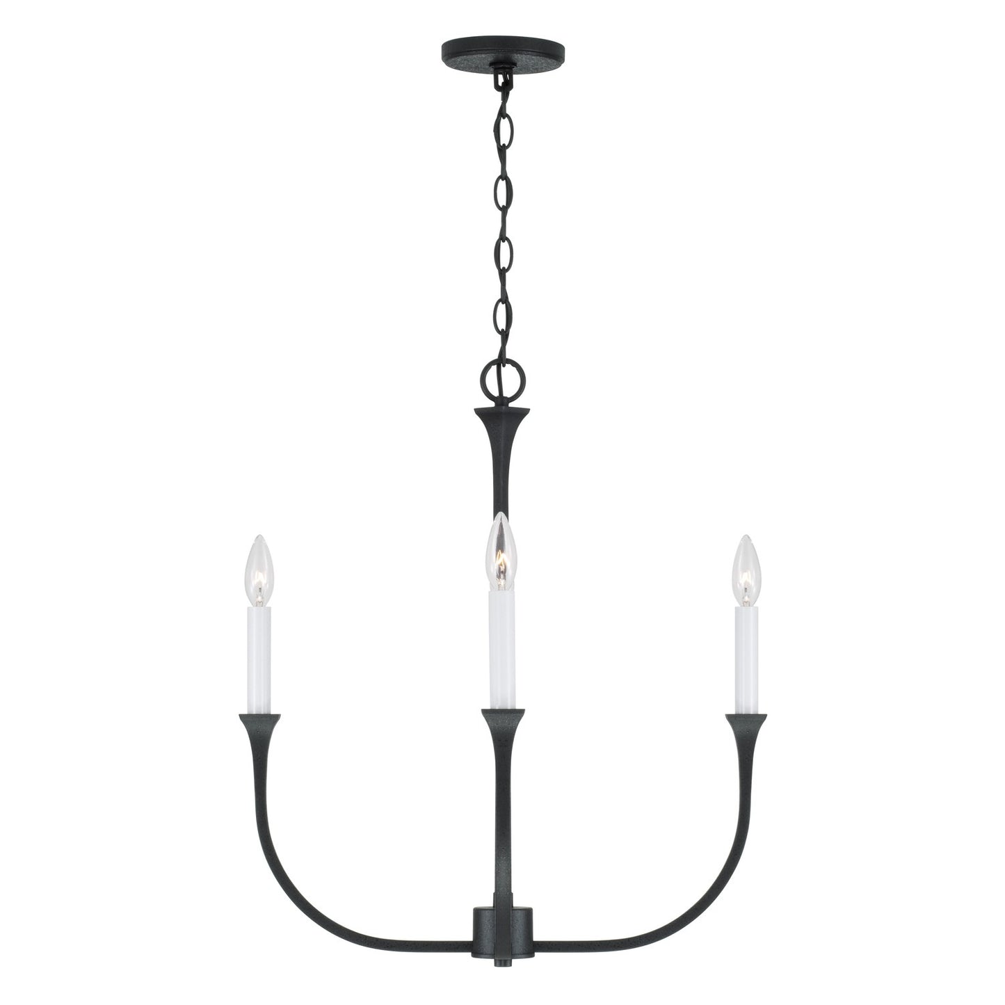 Capital Lighting-452341BI|ALT|1