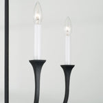 Capital Lighting-452341BI|ALT|2
