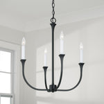 Capital Lighting-452341BI|ALT|4