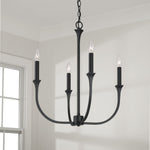 Capital Lighting-452341BI|ALT|5