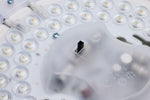 Nuvo Lighting-62-1690|ALT|2