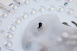 Nuvo Lighting-62-1693|ALT|2