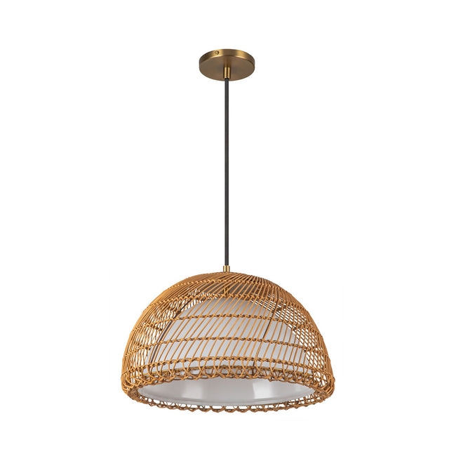 Alora-PD631416BGOP|ALT|3