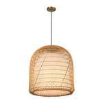 Alora-PD631920BGOP|ALT|2
