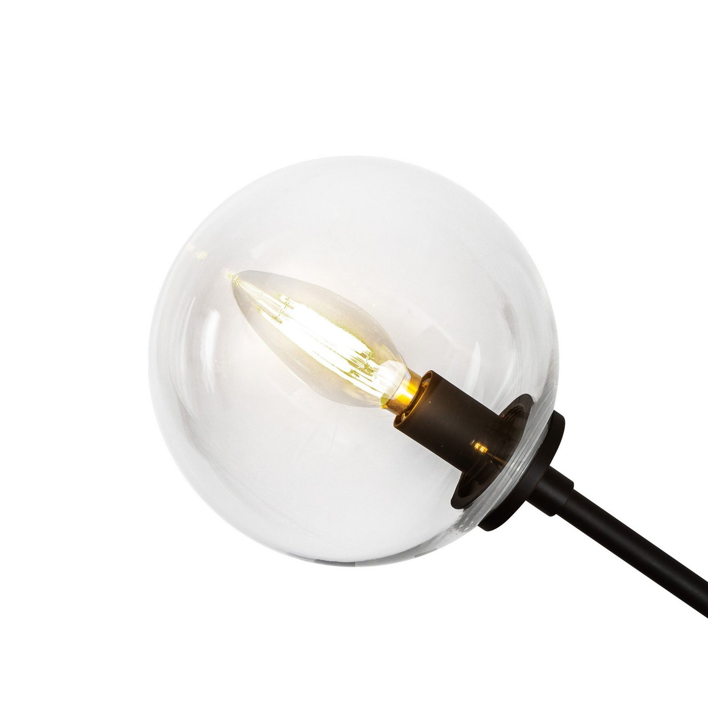 Alora-LP549448MBCL|ALT|1