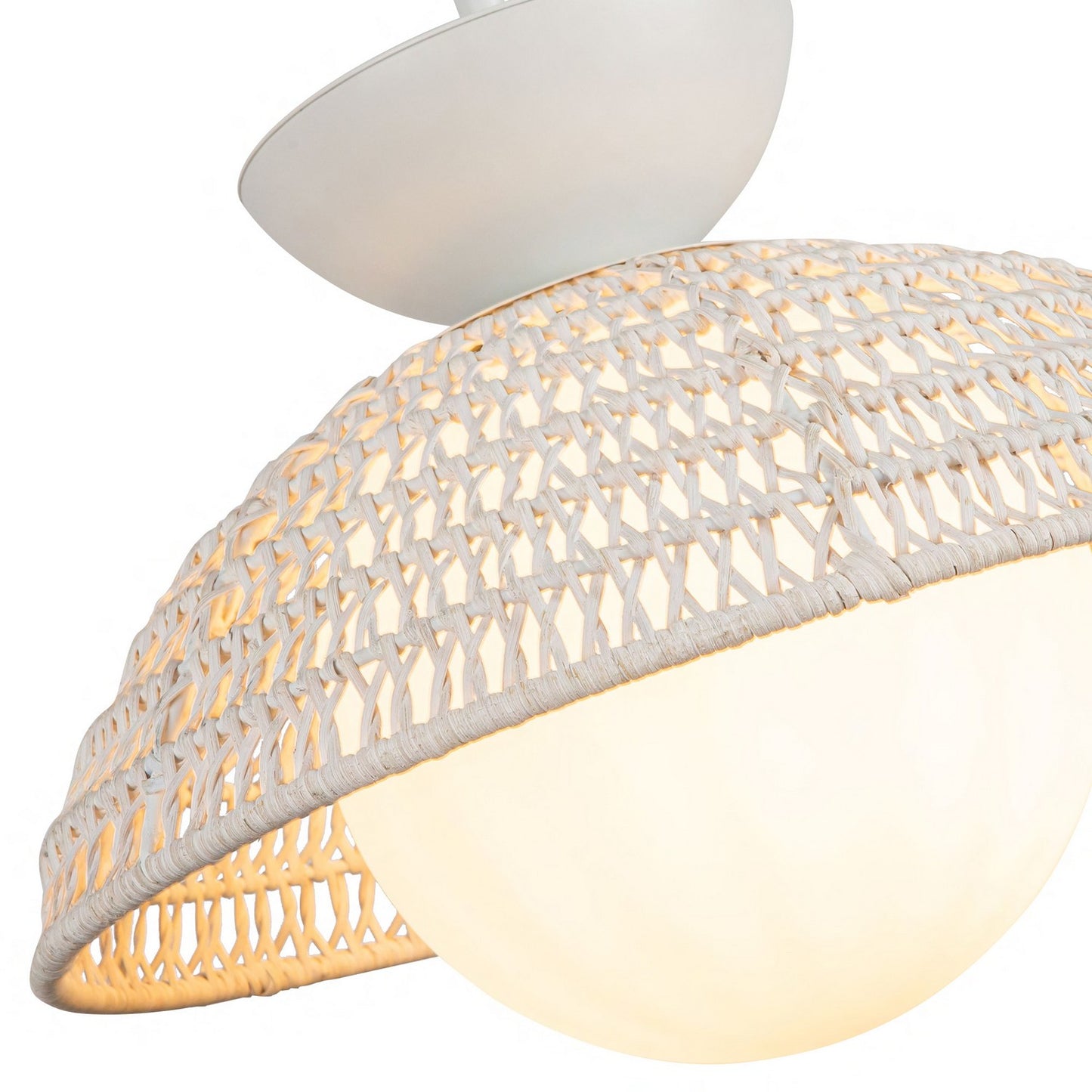 Alora-PD490114WHOP|ALT|4